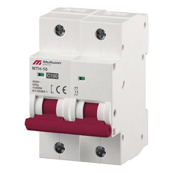 10kA / 2P / 125A / C Tipi Otomatik Sigorta